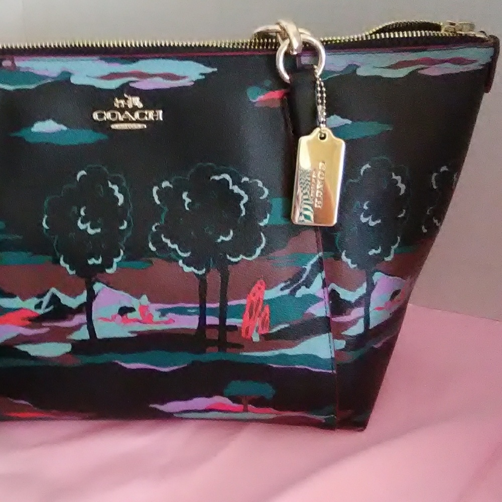 Beautiful Native American scene Coach